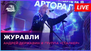 Андрей Державин - Журавли
