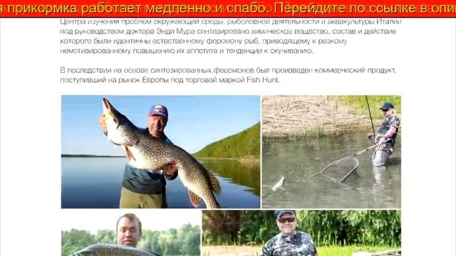 Fish Hunt. Проверенная приманка для рыбы