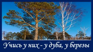 Афанасий Фет. Учись у них - у дуба, у березы