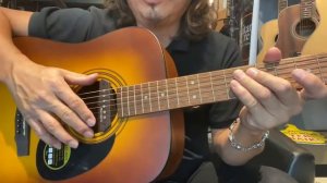 Skysonic A810 Sound Passive Pickup Review - The best pickup for the money??? TGS Malaysia