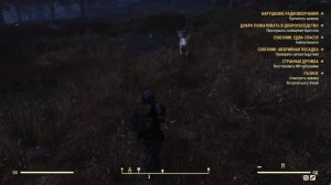 Fallout 76 Внимательный рад-олень привел к заначке
