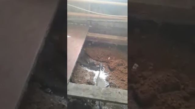 Шаранга -Чудеса ЖКХ смотреть онлайн