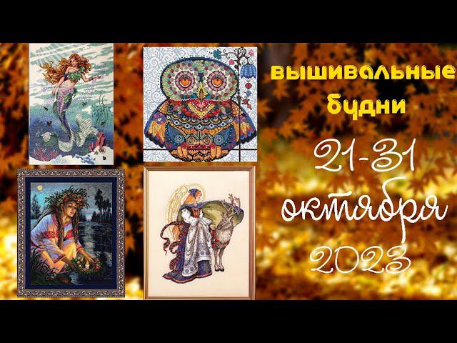 20/2023. 21-31 октября - финиш, 2 старта, флорариумы смотреть онлайн