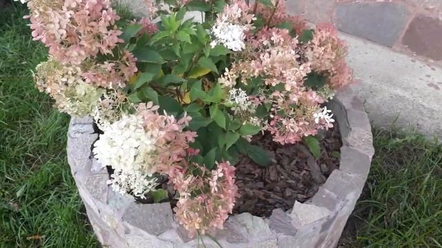 #дизайнвсаду #клумбакольцо/Малая архитектурная форма на садовом участке