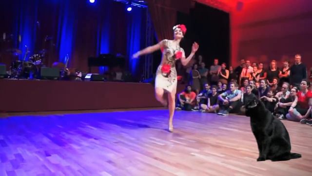 Мурка, ты мой Муреночек !!