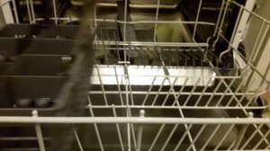 Beko dishwasher DFN05R10W