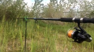 СПИННИНГ ШТЕКЕРНЫЙ MIKADO FAN IDEA 300