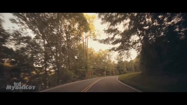 Он застрял в машине во время зомби-апокалипсиса смотреть онлайн