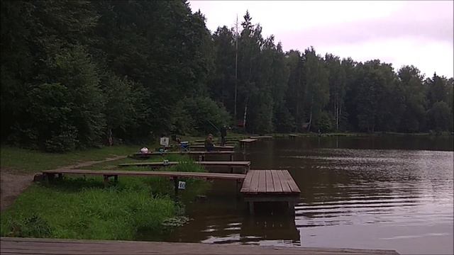 Карп ловится и на поплавочную, и на фидерную снасть. Клёвое место, Лосиный остров, верхний водоём.