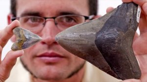 СВЕРХХИЩНИК МОРЯ - МЕГАЛОДОН, ВОЗМОЖНО ЖИВ!