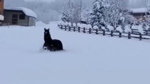 Судьба  - Эдуард Хуснутдинов