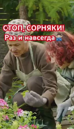 ПРОСТОЕ РЕШЕНИЕ от СОРНЯКОВ