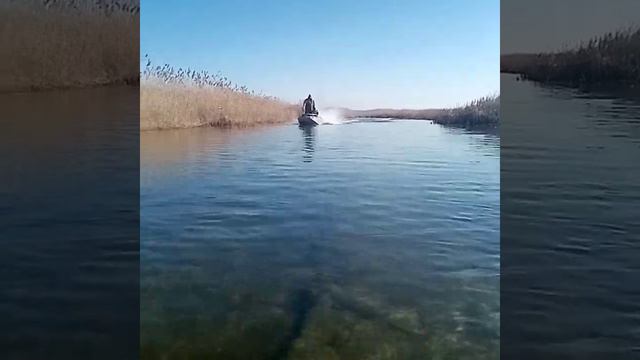 Серёга пытается взлететь) смотреть онлайн