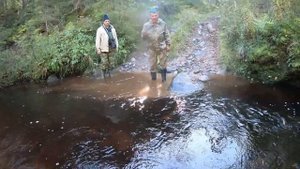 ГАЗ 66 на больших колесах, мощь на максималках, топчет грязь с грузом. Что творит.