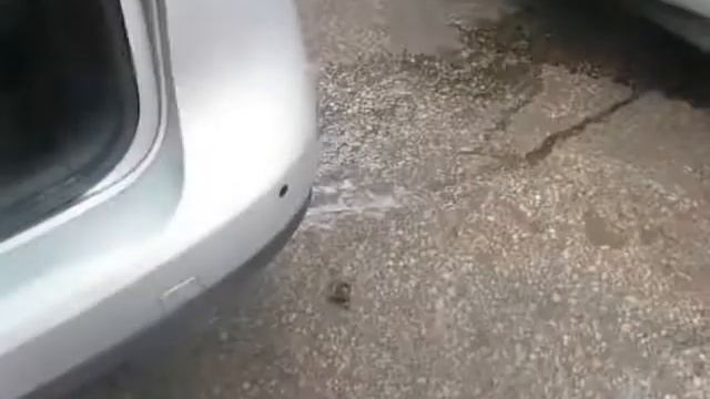 PASSAT VN08 смотреть онлайн