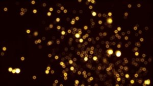 ВРАТА-КАТХА (сказка) СОЛНЦУ