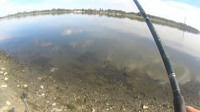 Отличная рыбалка на Калаче Волгоградская обл.(Дневник рыболова) смотреть онлайн