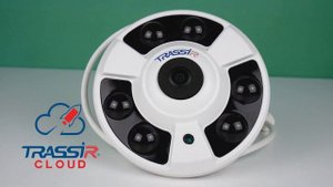 FishEye IP-камеры видеонаблюдения TRASSIR TR-D9161IR2 и TR-D9141IR2