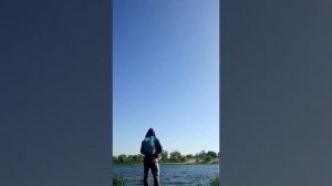 Рыбалка о. Сарпинский г. Волгоград затон Горелый