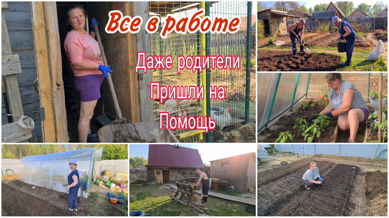 Работа идет полным ходом. Родители приехали на помощь. Жизнь в деревне