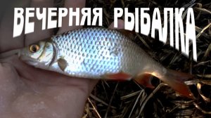 Вечерняя рыбалка на удочку.