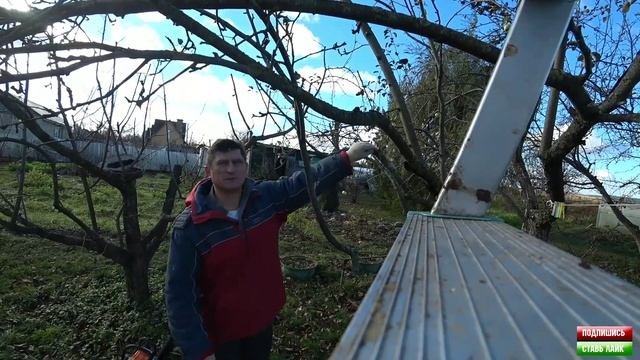 Омолаживание яблоневого сада