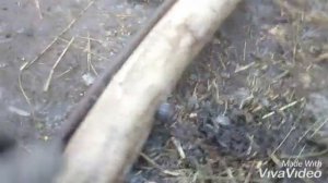 Крепление оглобель к саням для лошади (дровням )