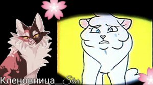 #11 утерянные файлы /Яролика/коты воители