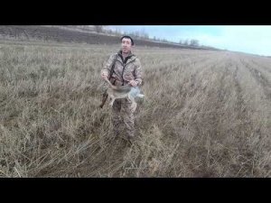 Охота на зайца. Сезон 23-24