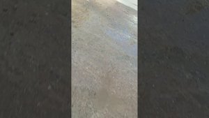 мой друг упал с крыши и разрезал себе руку ????