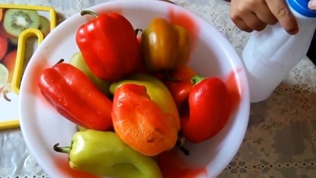 Ինչպե՞ս պահել թարմ պոմիդորը ձմռանը/Как хранить свежие помидоры зимой смотреть онлайн