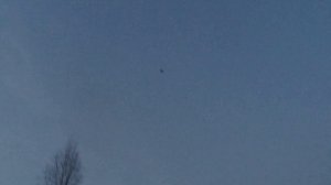 Охота на Вальдшнепа 3 2023г