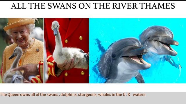 Interesting Facts about the United Kingdom (UK) | Fun Facts смотреть онлайн