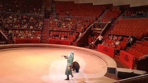 МЕДВЕДИЦА НАСТЕНЬКА  ТАНЦУЕТ ЗАЖИГАТЕЛЬНЫЙ ТАНЕЦ!!!!!!