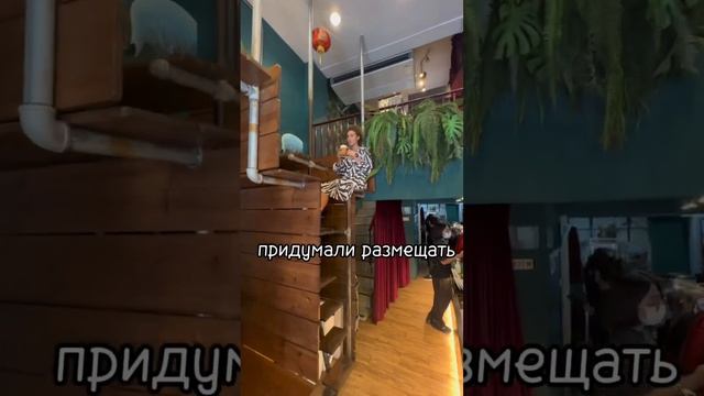 ?♂️ ДВУХЭТАЖНОЕ КАФЕ, СИДИМ НА ГОЛОВЕ смотреть онлайн