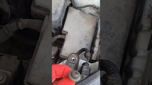 Замена лампочек в фаре Ford Kuga 2.5 1 поколение
