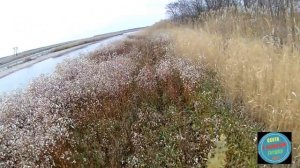 ОХОТА НА УТКУ - НОВЫЕ МЕСТА.mp4