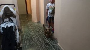 VL💜G: Лафа закончилась / Гуляем по ул Волжской// Family K // 6.07.18