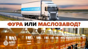 Какой бизнес открыть в 2024 году, грузоперевозки или отжим масла.