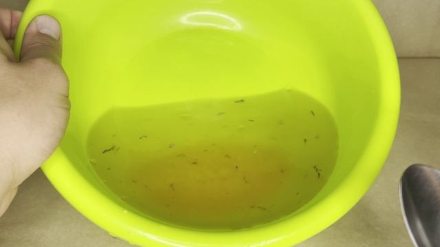 Как ЗАСОЛИТЬ КРАСНУЮ икру дома вкусно и быстро