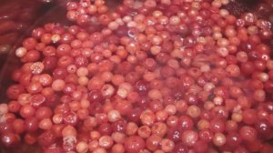 Брусничный соус к индейке