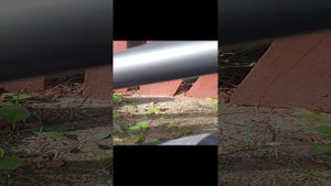 первое видео!