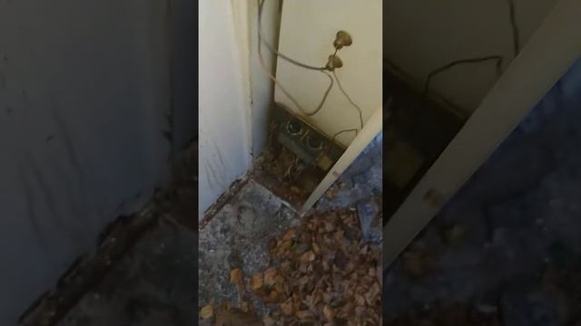 Котел тетерев смотреть онлайн