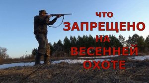 Запреты на ВЕСЕННЕЙ охоте! Что необходимо знать охотнику?