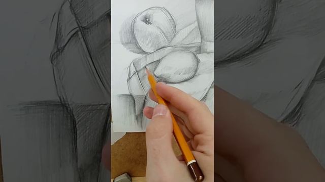 Натюрморт карандашом смотреть онлайн