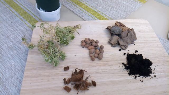 Антуриум Правильный грунт для антуриума