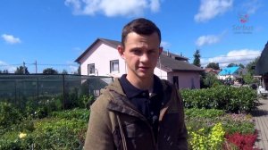 Как и чем точить садовый инструмент? Можно ли точить кусторез, секатор, садовую пилу ?