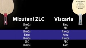 Как выбрать ракетку для настольного тенниса. Основания для настольного тенниса. Введение