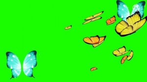 футаж .бабочки.зеленый фон