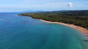 МЕДИТАЦИЯ БЛАГОДАРНОСТИ Вселенной на ночь ✅ Майкл Роуч перед сном